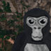 black gorilla in a vr forest in the free Gorilla tag game