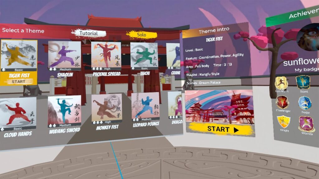 selection of techniques in kungfu vr